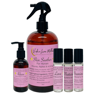 Horse Care Shop by Vickie Luna